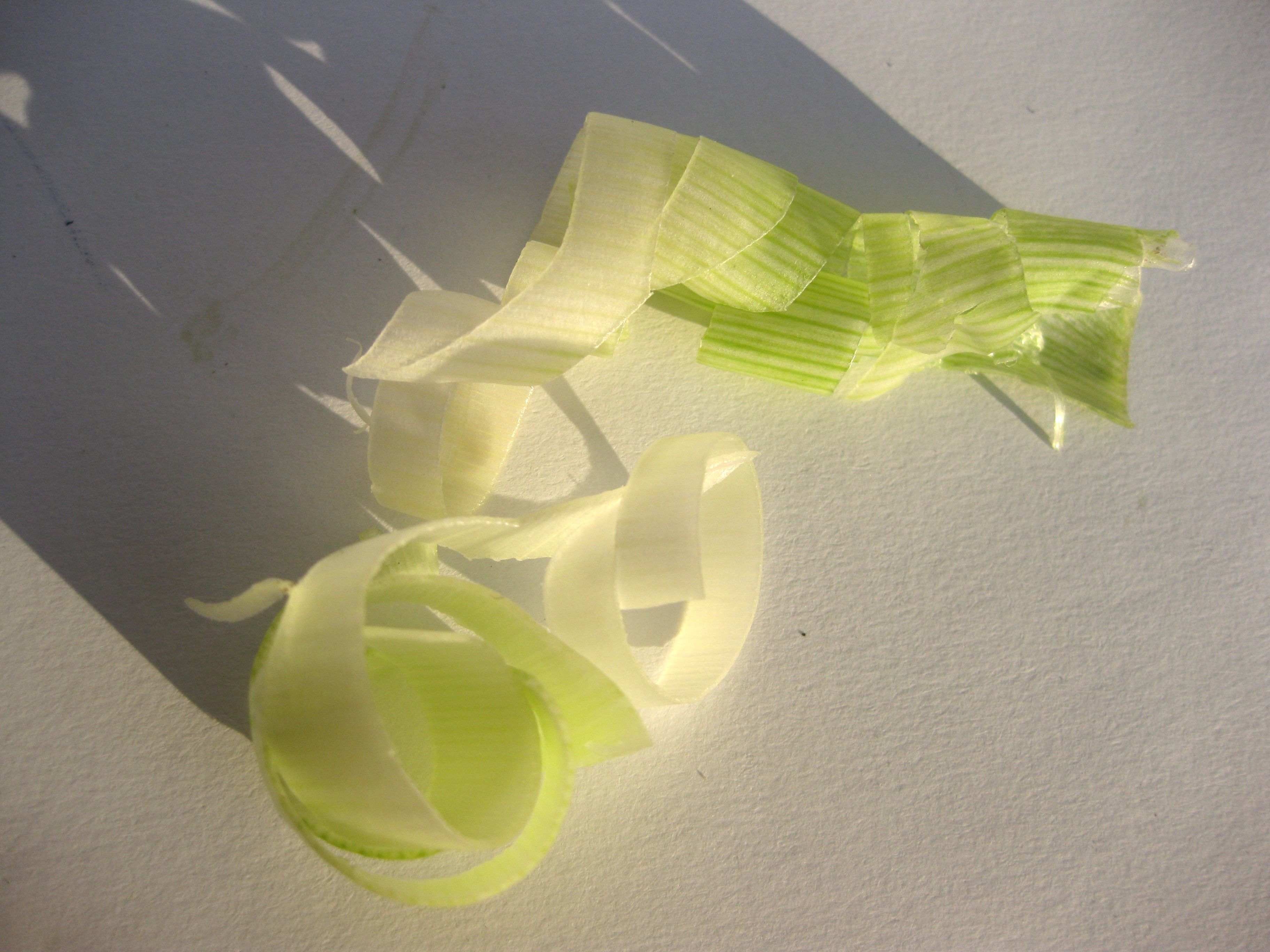 vegetable17